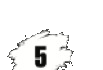 5 lei