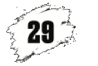 29 lei